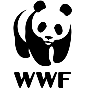 Partnered with WWF-India for various Beach Cleanups